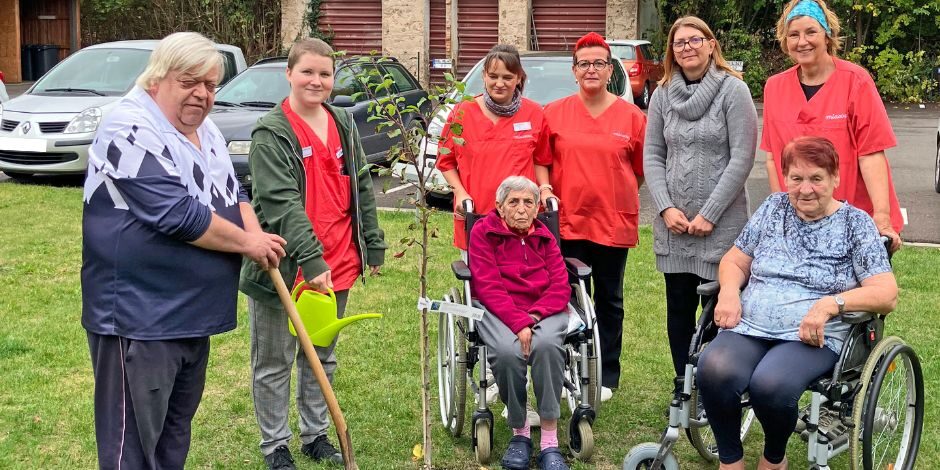 MPG_Baumchallenge_940x470