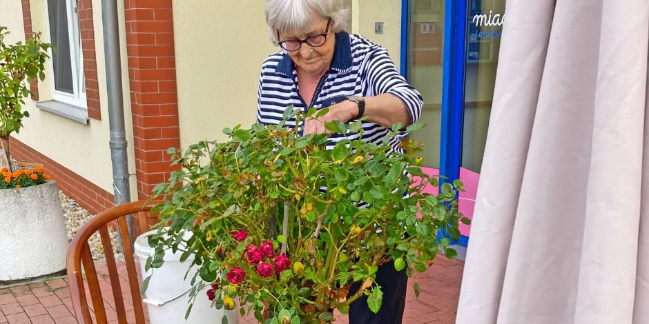 MPG_HAL-DIE_Gartenzeit 2025_940x470 (1)